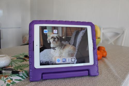 billigamobilskydd.seStandcase Barnfodral Apple iPad Air (2019) (3rd Gen.)