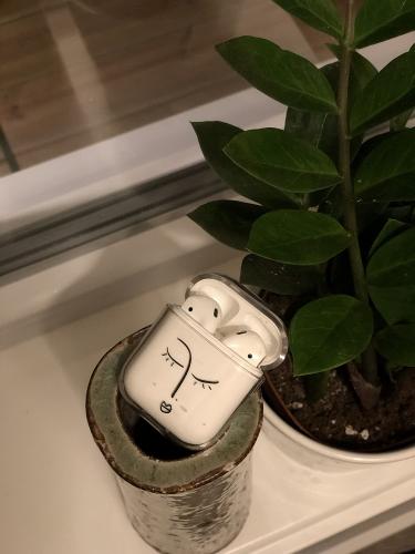 billigamobilskydd.seApple AirPods Designfodral