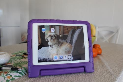 Standcase Barnfodral iPad 10.2 (2019/2020/2021)